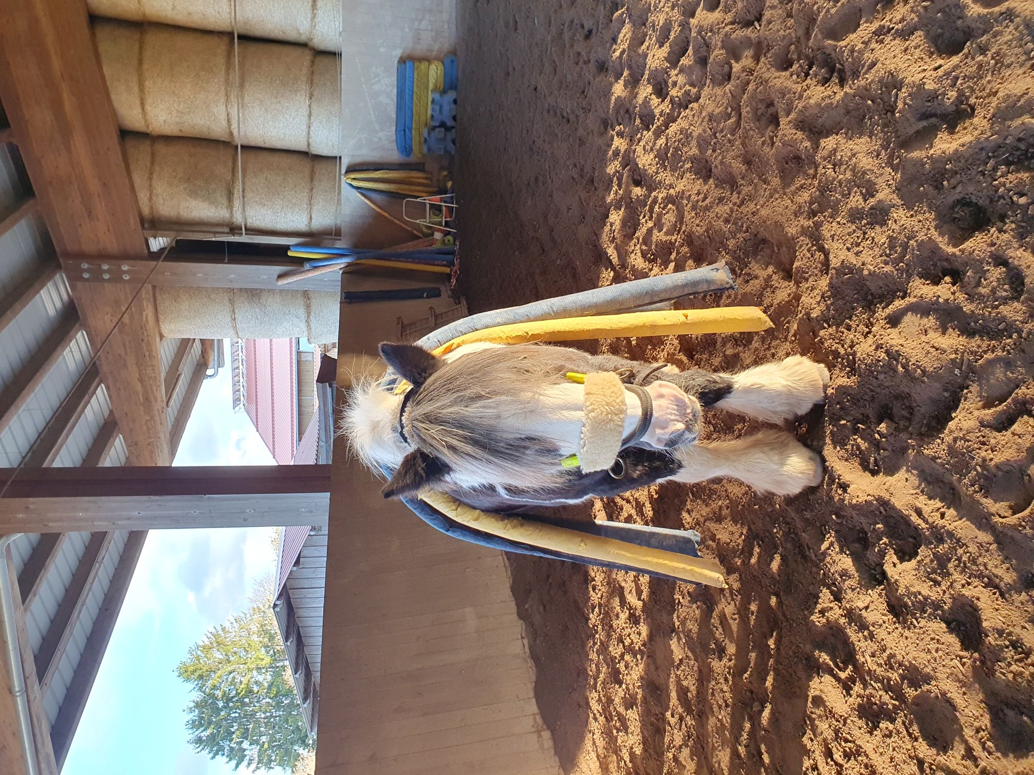 2023 11 November 583